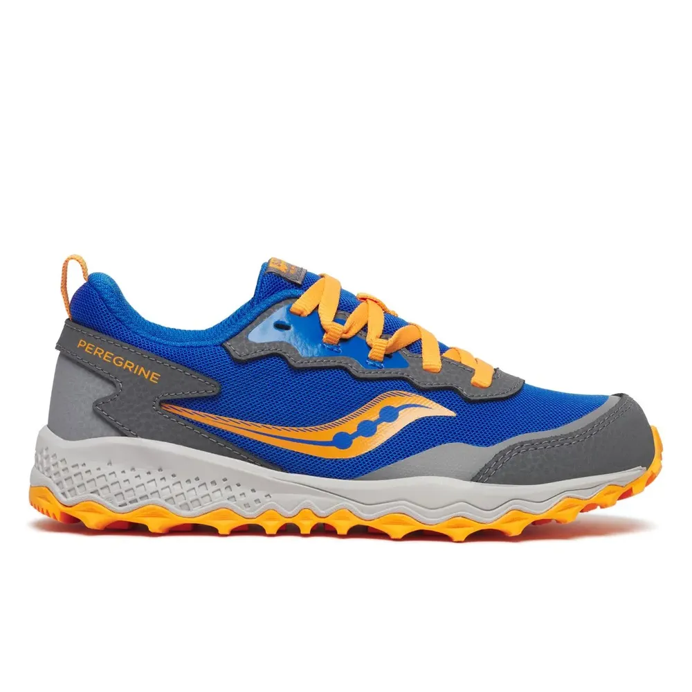 Big Kid's Peregrine KDZ Sneaker